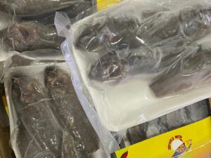KOI Clean (10-12pcs/kg)